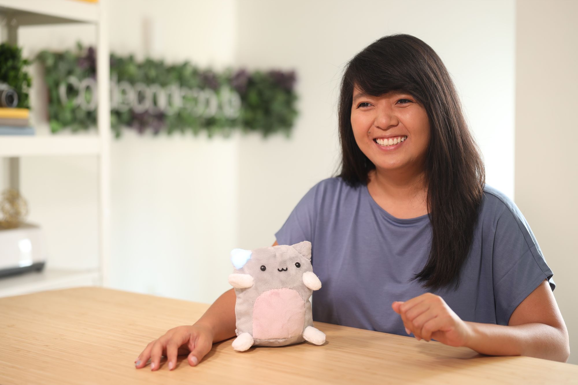 How to make an internet-connected soft robot cat: A video course on LinkedIn Learning